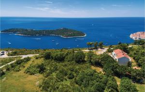 Pet Friendly Apartment In Bosanka With Kitchen 
