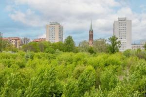 Ludwiki Premium Apartment