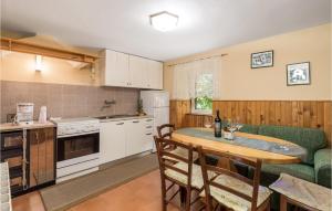 Pet Friendly Home In Moscenice With Kitchen 