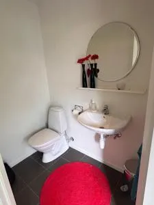 Enebolig Trondheim syd - 欧坎哥