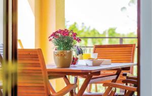 3 Bedroom Cozy Apartment In Nedescina