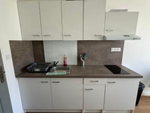 Appartement 1 chambre vu sur jardin Appart A
