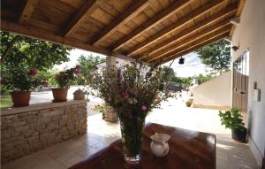 Amazing Apartment In Pazin With Wifi 