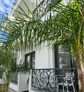 Hotel PAJA Ksamil