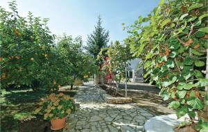 Apartment Ograda Vi