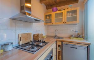 Beautiful Home In Krivodol With Wifi
