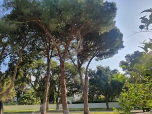 Apartamento en Sotogrande Los Cortijos