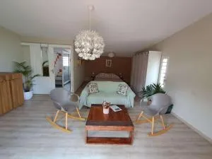 Studio le Ti coin Charmant - Manapany-les Bains