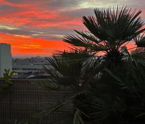 Air conditioned apartment 78 m2, Terrace 50m2