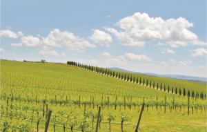 Poggio Agli Ulivi