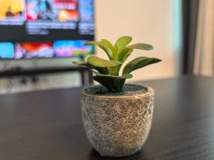 Royal Comfort Suite Meritus near swimming pool - 3hvězdičkové hotely ve městě Perai