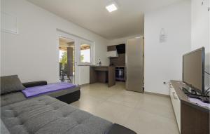 Stunning Apartment In Kustici, Novalja 