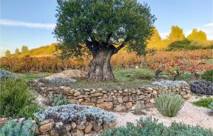 Amazing Home In Murviel-Lès-Béziers