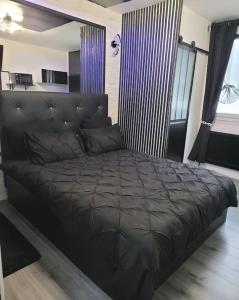 Studio Black and White