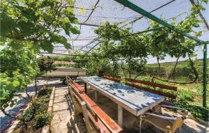 Awesome Apartment In Vrana With Wifi