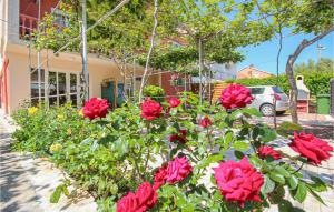 1 Bedroom Awesome Apartment In Zadar