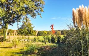 Maisons de vacances Le Vieux Fournil : photos des chambres