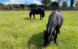 Maisons de vacances Le Vieux Fournil : photos des chambres