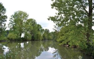 Maisons de vacances Stunning Home In St Pierre D'eyraud : photos des chambres