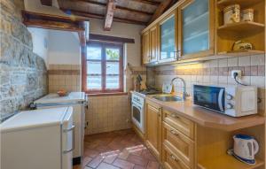 Lovely Apartment In Cerovlje With Wifi 