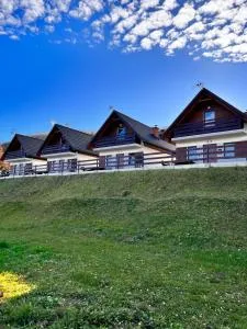 Solina domki-„Solińskie wzgórze” - Rapiska