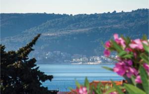 Gorgeous Apartment In Kastel Stari