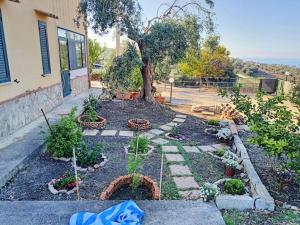 Il giardino degli ulivi