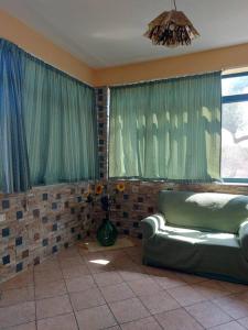 Il giardino degli ulivi