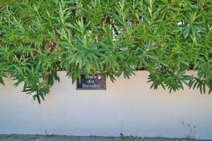 Appartement avec piscine