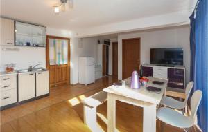 1 Bedroom Cozy Apartment In Slatine 