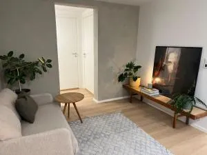 Newly renovated Trondheim apartment - Lund