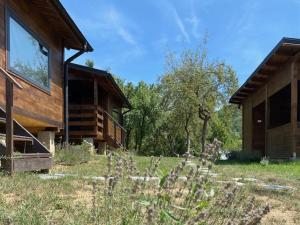 Bungalouri Olanesti