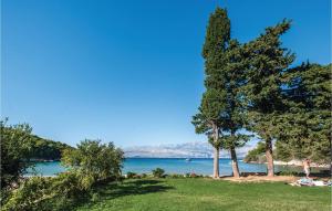 Lovely Home In Postira With House Sea View 