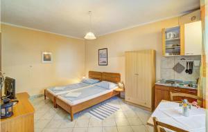 Amazing Apartment In Senj With Kitchen