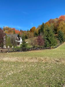 Cabana Runcul Cailor