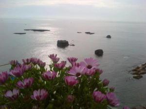 Riccio di Mare - Large and bright flat on the sea