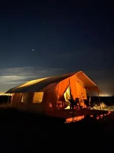 Simple Camp carpa Árboles - 孔奇亚斯