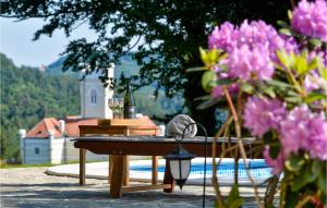 Nice Home In Lepoglava With Sauna 