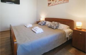 2 Bedroom Beautiful Home In Popovici 