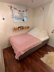 Stor enebolig Trondheim syd