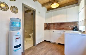 Gorgeous Home In Sveti Ivan Zelina