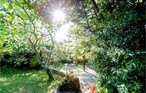 3 Bedroom Stunning Home In Malinska 