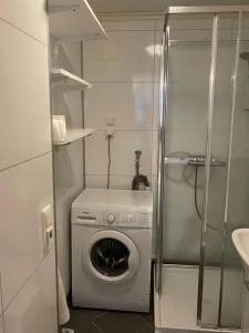 Romslig hybel leilighet - Elvemo