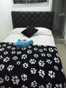 Hostal Pietrasanta - Rebolo