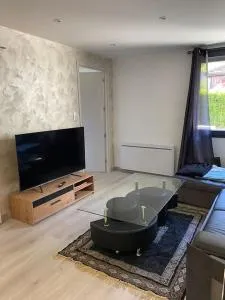 Charmant appartement Entre lacs et montagnes ! - 沙纳兹