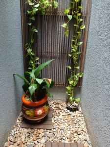 Iguassu Falls Refuge - Cataratas do Iguassu - Paraguai - Argentina