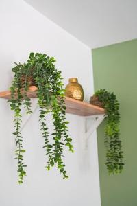 Appartements NUXIA Suites&SPA L-Aboheme Chic : photos des chambres