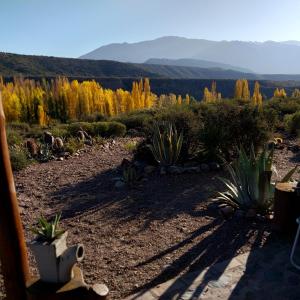 Cabaña La Mostacita - Complejo El Taller