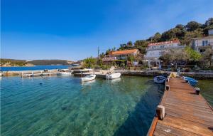 Beautiful Apartment In Supetarska Draga