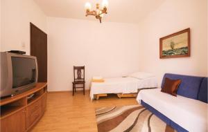 Cozy Apartment In Vlasici With Wifi 